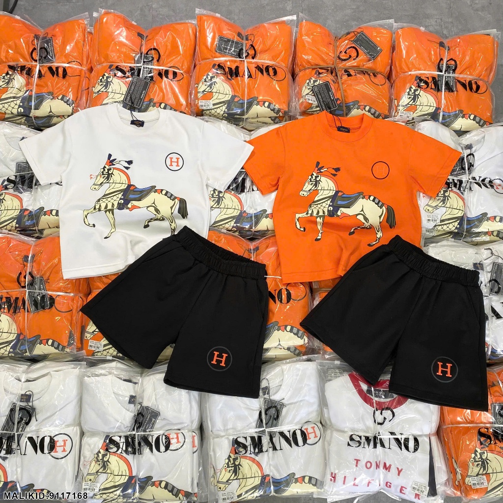 Bộ hè cotton bé trai in hình ngựa 2 màu hàng siêu đẹp-Bộ quần áo ngắn tay cho bé trai in hình cao cấp