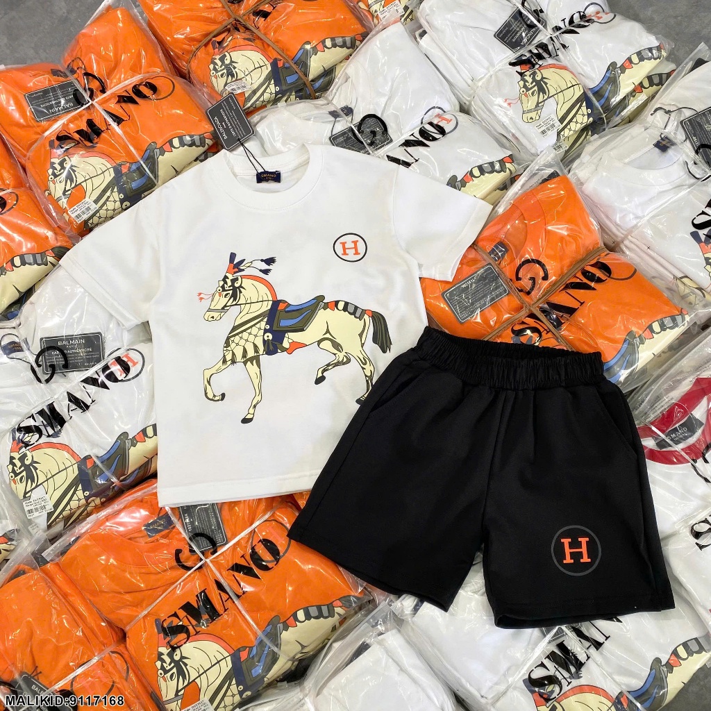 Bộ hè cotton bé trai in hình ngựa 2 màu hàng siêu đẹp-Bộ quần áo ngắn tay cho bé trai in hình cao cấp