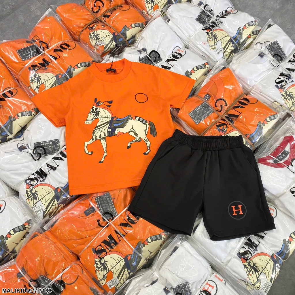 Bộ hè cotton bé trai in hình ngựa 2 màu hàng siêu đẹp-Bộ quần áo ngắn tay cho bé trai in hình cao cấp
