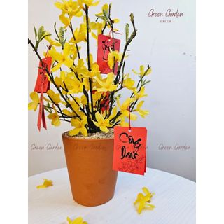 Chậu Mai Mỹ Trang Trí Tết 40cm Kèm Thẻ Treo – Decor Bàn Làm Việc, Kệ Tủ | Green Garden Decor