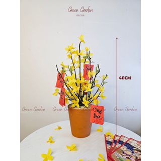 Chậu Mai Mỹ Trang Trí Tết 40cm Kèm Thẻ Treo – Decor Bàn Làm Việc, Kệ Tủ | Green Garden Decor