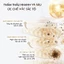 Combo 3 Sữa Dưỡng Thể Sáng Da Olay Hương Nước Hoa Với 5% Niacinamde & Vitamin C 260G