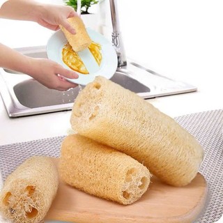 Xơ Mướp Cắt Khúc Từ Xơ Mướp Thiên Nhiên An Toàn Cho Da Dùng Để Rửa Bát Hoặc Để Tắm