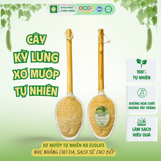 Cây Kỳ Lưng Xơ Mướp KB Ecolife (Cán gỗ tròn)Làm Sạch Sâu Tẩy Da Chết, Không Chất Tẩy Trắng Độc Hại