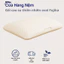 Gối cao su thiên nhiên oval Fuji
