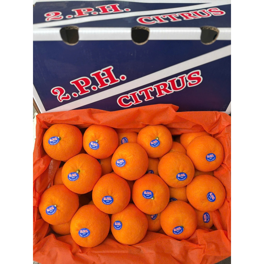 ( Hỏa tốc HCM ) THùng quýt size 42/6.5kg