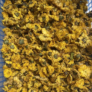 Hoa cúc vàng khô nguyên bông sấy lạnh loại 1 (500g, 1kg), Trà hoa cúc khô pha trà giúp lợi sữa, ngủ ngon
