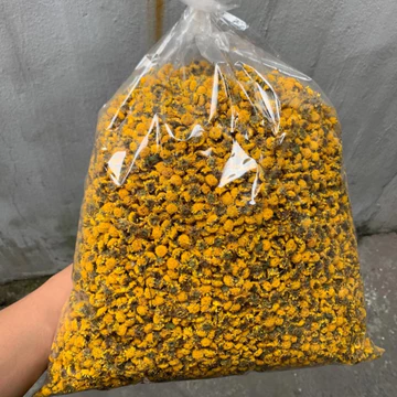 (100g) Trà Hoa cúc chi, cúc tiến vua Hưng Yên sấy lạnh lᴏại 1, hoa cúc chi sấy khô nguyên bông nấu nước sâm pha trà