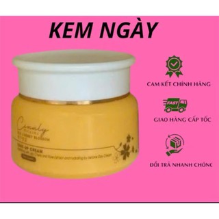 COMBO Ngày Đêm CINNLY Blur Melasma Mờ Thâm, Nám, Xạm, Tàn Nhang lâu năm, giúp da trắng sáng mịn màng