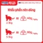 Pate Gói 40g INABA CIAO 😸 SOUP - CREAMY POUCH Nhập Khẩu Thái Lan