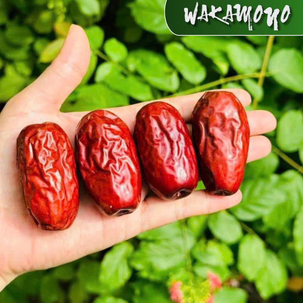 Sp Táo đỏ Hòa Điền THƯỢNG HẠNG Wakamono Organic size 60-80/1kg