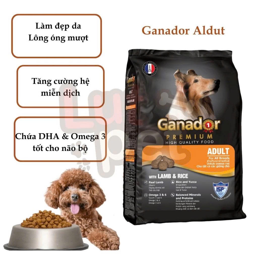 Thức ăn hạt Ganador Premium cho chó trưởng thành vị Cừu & Gạo phát triển xương và cơ bắp, gói 1.5KG