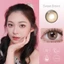 Magister Kính áp tròng 14.5MM cận thị Màu nâu Brown lens Màu Gray lens Đôi mắt to 6 tháng