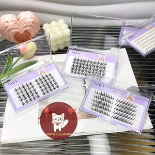[JARY] Mi Giả Cụm Jary Vỏ Tím Mi Cụm Mềm Mại Tự Nhiên, Tái Sử Dụng, Cluster Lashes