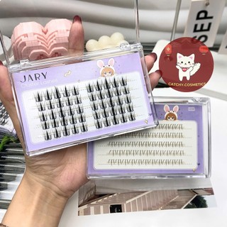 [JARY] Mi Giả Cụm Jary Vỏ Tím Mi Cụm Mềm Mại Tự Nhiên, Tái Sử Dụng, Cluster Lashes