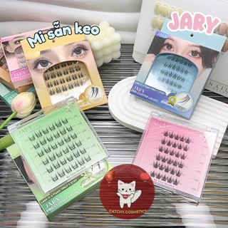 [JARY] Mi Giả Sẵn Keo Jary Mi Cụm Sẵn Keo Thạch Silicon Trong Suốt Tiện Lợi, Pro Cluster Lashes