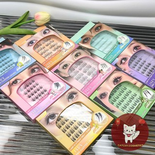 [JARY] Mi Giả Sẵn Keo Jary Mi Cụm Sẵn Keo Thạch Silicon Trong Suốt Tiện Lợi, Pro Cluster Lashes