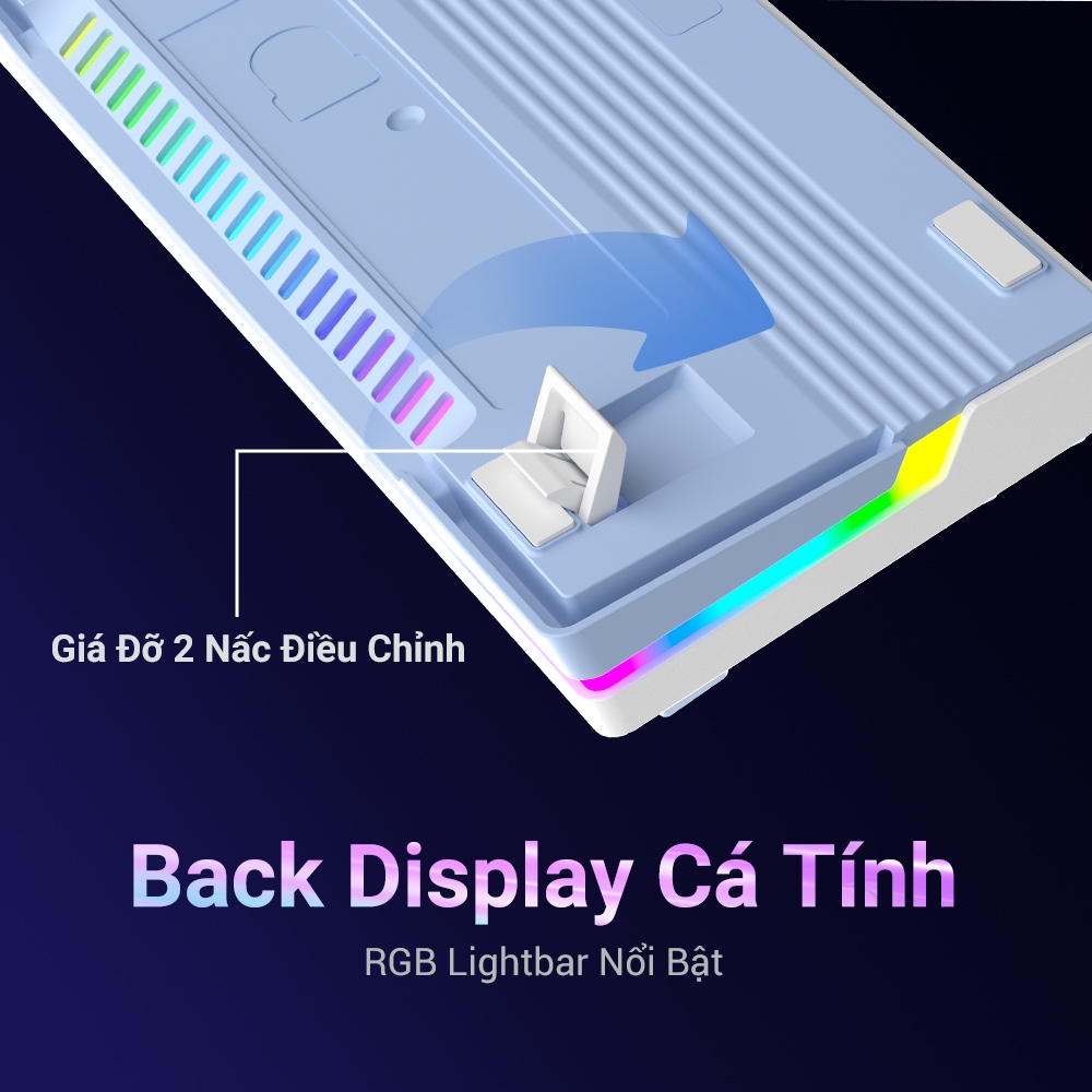 Bàn Phím Cơ Gaming ZIFRIEND AG98, 98 phím, Hỗ trợ hotswap, Red / Blue Switch, LED, Gasket Mount | BigBuy360 - bigbuy360.vn