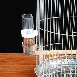 Cóng ăn uống tự động cho chim cóng đựng nước chim cóng mica 1 chiếc