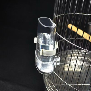 Cóng ăn uống tự động cho chim cóng đựng nước chim cóng mica 1 chiếc