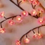 Led Hoa Đào 72 Led 8 Chế Độ Nháy có điều khiển (Tặng kèm sạc)