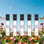 Nước hoa Nữ 10ml ngọt ngào, nhẹ nhàng, quyến rũ.