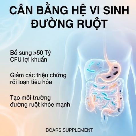 Viên uống Probiotic Complex Nutricost - Bổ Sung 50 tỷ lợi khuẩn, cải thiện hệ tiêu hoá