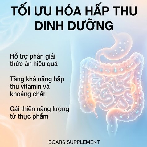 Viên uống Probiotic Complex Nutricost - Bổ Sung 50 tỷ lợi khuẩn, cải thiện hệ tiêu hoá