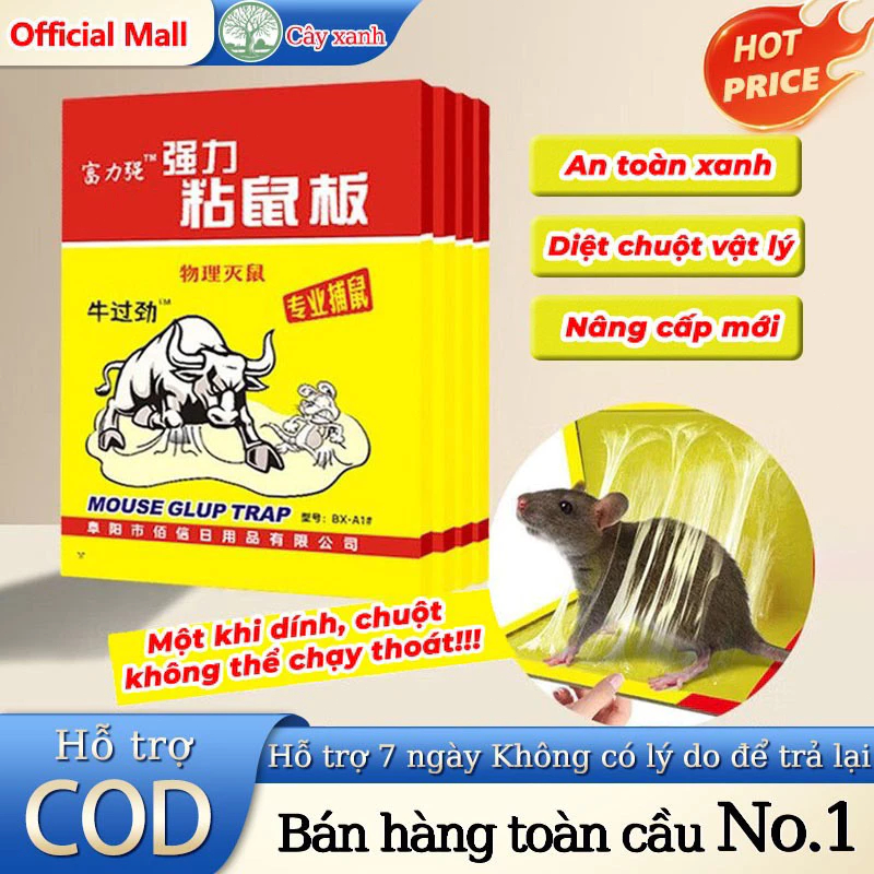 ✅ Hết Chuột! 20 Miếng Keo Dính Chuột Cao Cấp, Bẫy Dính Chắc Chắn, Bảo Vệ Gia Đình