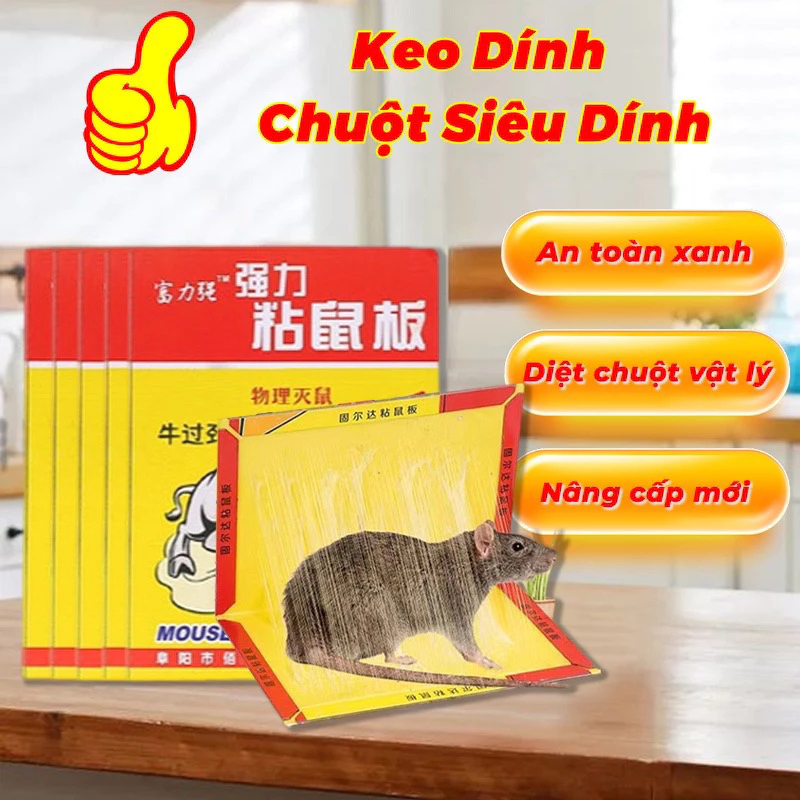 ✅ Hết Chuột! 20 Miếng Keo Dính Chuột Cao Cấp, Bẫy Dính Chắc Chắn, Bảo Vệ Gia Đình