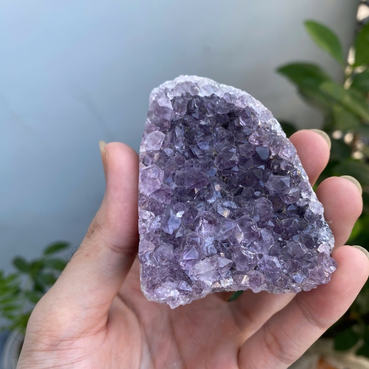 Hốc Thạch Anh Tím tự nhiên nguyên khối - Hốc Đá Tinh Thể Thạch Anh Tím Nguyên Sinh - May Mắn Tài Lộc