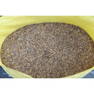 Vỏ Trấu Mục MekongTTS 50dm3 - Nguyên liệu trồng Cây - Phối Trộn Giá thể - Giữ Ẩm Cây