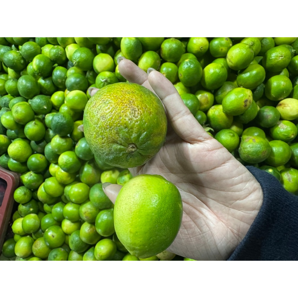 Nước Cốt Chanh Tươi Cấp Đông Túi 300g – 100% Chanh Nguyên Chất – Tiện Lợi Pha Chế & Nấu Ăn