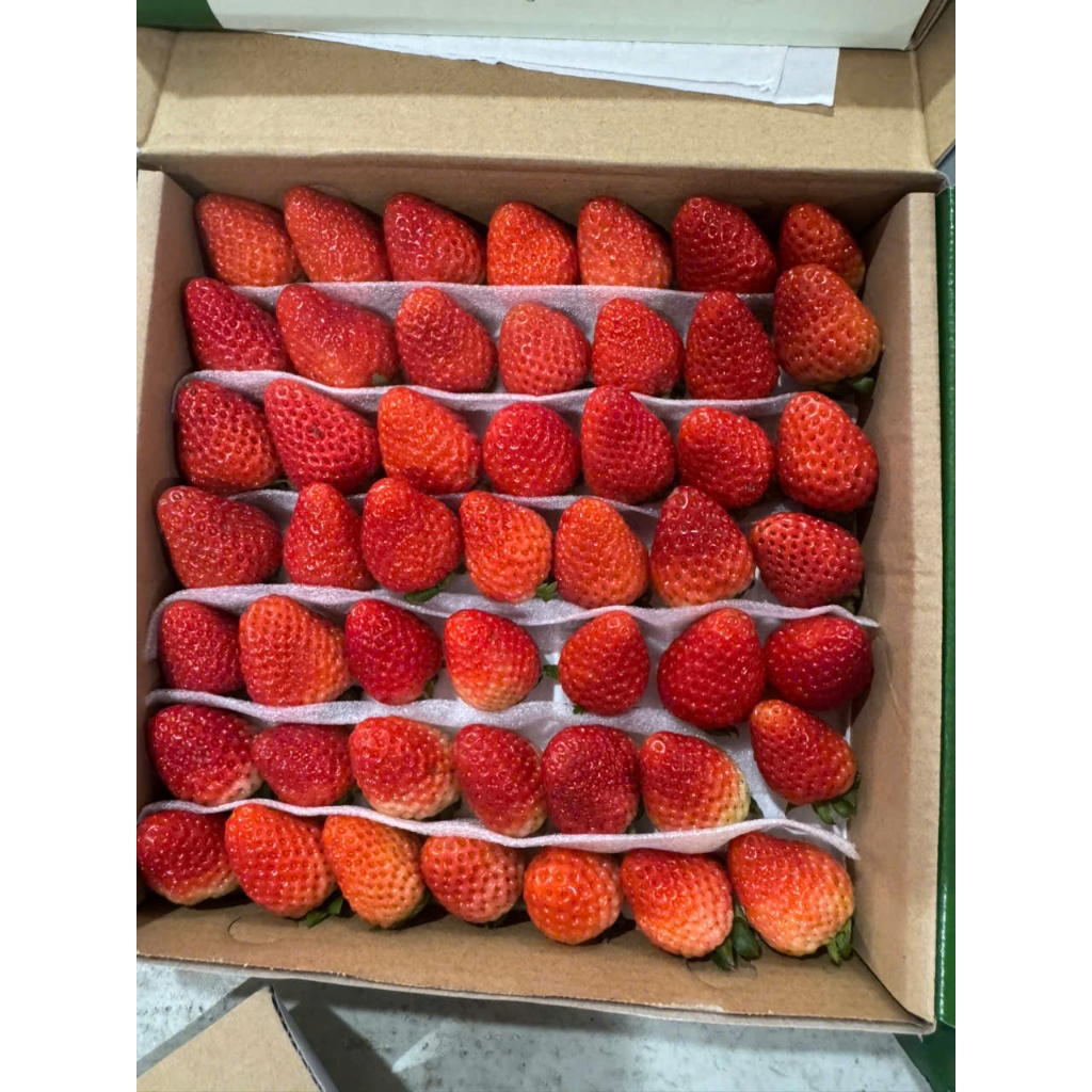 🍓 DÂU TÂY AKI / SKY CẤP ĐÔNG SIZE 49/64 – TÚI 1KG 🍓