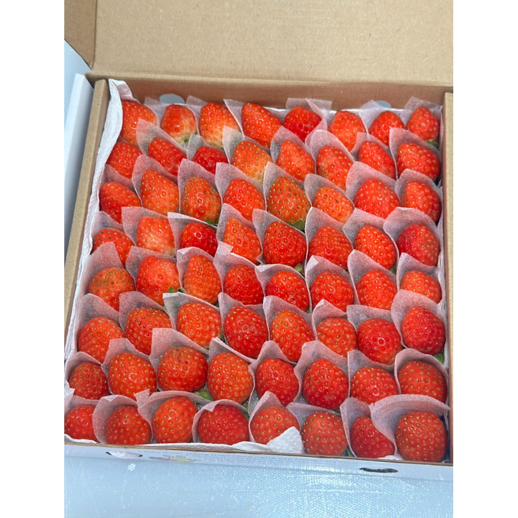 🍓 DÂU TÂY AKI / SKY CẤP ĐÔNG SIZE 49/64 – TÚI 1KG 🍓