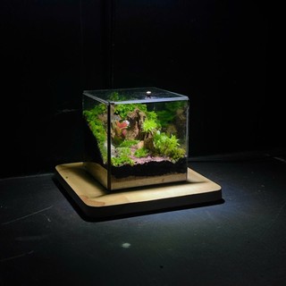 Terrarium Phong Thủy " An Lộc Sơn Lâm " QUÀ TẶNG TÊT Ý NGHĨA SANG TRỌNG VÀ TINH TẾ