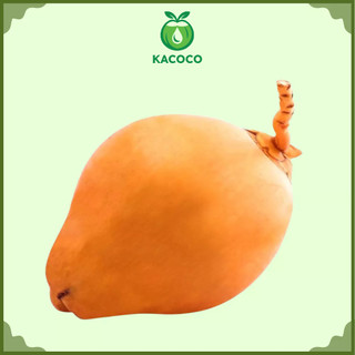 Set 5 Trái Dừa Xiêm Đỏ Miền Tây Nguyên Vỏ KACOCO - Ngọt, Mỏng vỏ, nước nhiều giải khát, giảm nhiệt, tươi mát, uống liền