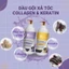 Dầu gội xả Darcy hương nước hoa ngọt dịu phục hồi tóc xơ rối chai 2000ml, 800ml