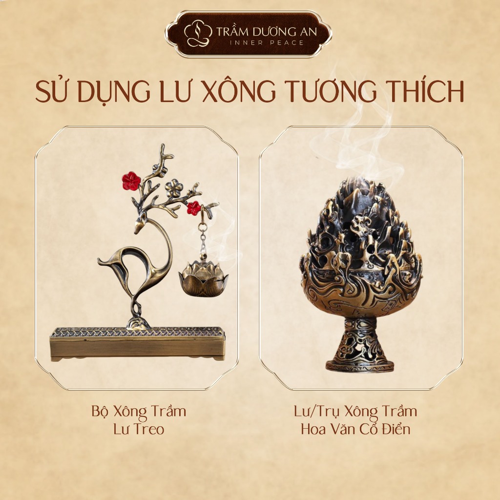 Hộp 80 Nụ Trầm Bách Xanh Chính Hãng, Khói Ngược Đẹp, Cháy Lâu 50 Phút, Dùng Tĩnh Tâm TAIJ DECOR