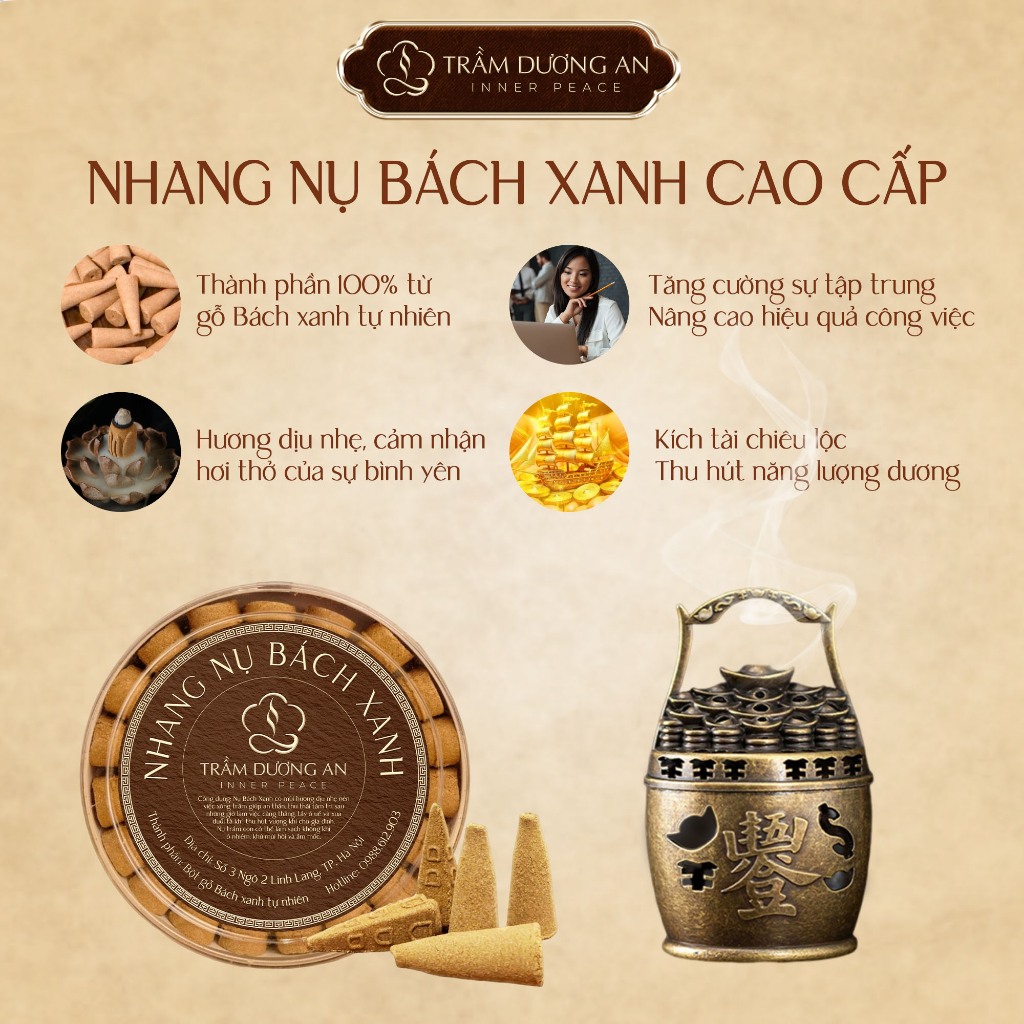 Hộp 80 Nụ Trầm Bách Xanh Chính Hãng, Khói Ngược Đẹp, Cháy Lâu 50 Phút, Dùng Tĩnh Tâm TAIJ DECOR