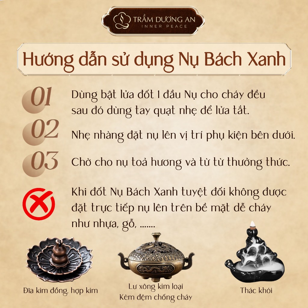 Hộp 80 Nụ Trầm Bách Xanh Chính Hãng, Khói Ngược Đẹp, Cháy Lâu 50 Phút, Dùng Tĩnh Tâm TAIJ DECOR