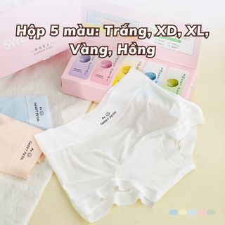 Combo 5 Quần Boxer Nữ Mặc Váy Không Đường May, Hộp 5 Quần Lót Đùi Nữ Su lạnh không lộ viền L5422