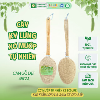 Cây Kỳ Lưng Xơ Mướp Tự Nhiên KB Ecolife (Cán dẹt 45cm) Làm Sạch Sâu Tẩy Da Chết Massage Da