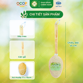 Cây Kỳ Lưng Xơ Mướp Tự Nhiên KB Ecolife (Cán dẹt 45cm) Làm Sạch Sâu Tẩy Da Chết Massage Da