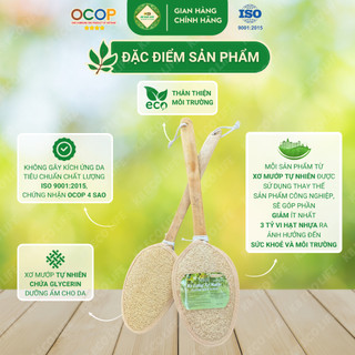 Cây Kỳ Lưng Xơ Mướp Tự Nhiên KB Ecolife (Cán dẹt 45cm) Làm Sạch Sâu Tẩy Da Chết Massage Da