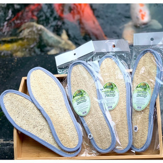 Miếng Lót Giày Xơ Mướp Êm Ái KB Ecolife Mềm Mại Thoáng Khí Hoàn Toàn Tự Nhiên Không Gây Kích Ứng Da