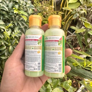 (60mlx4) Set 4 Chai Dầu Gội OLIV Dưỡng Tóc tinh chất oliu và chiết xuất bưởi hồng cho tóc khắc khỏe, ngăn gãy rụng