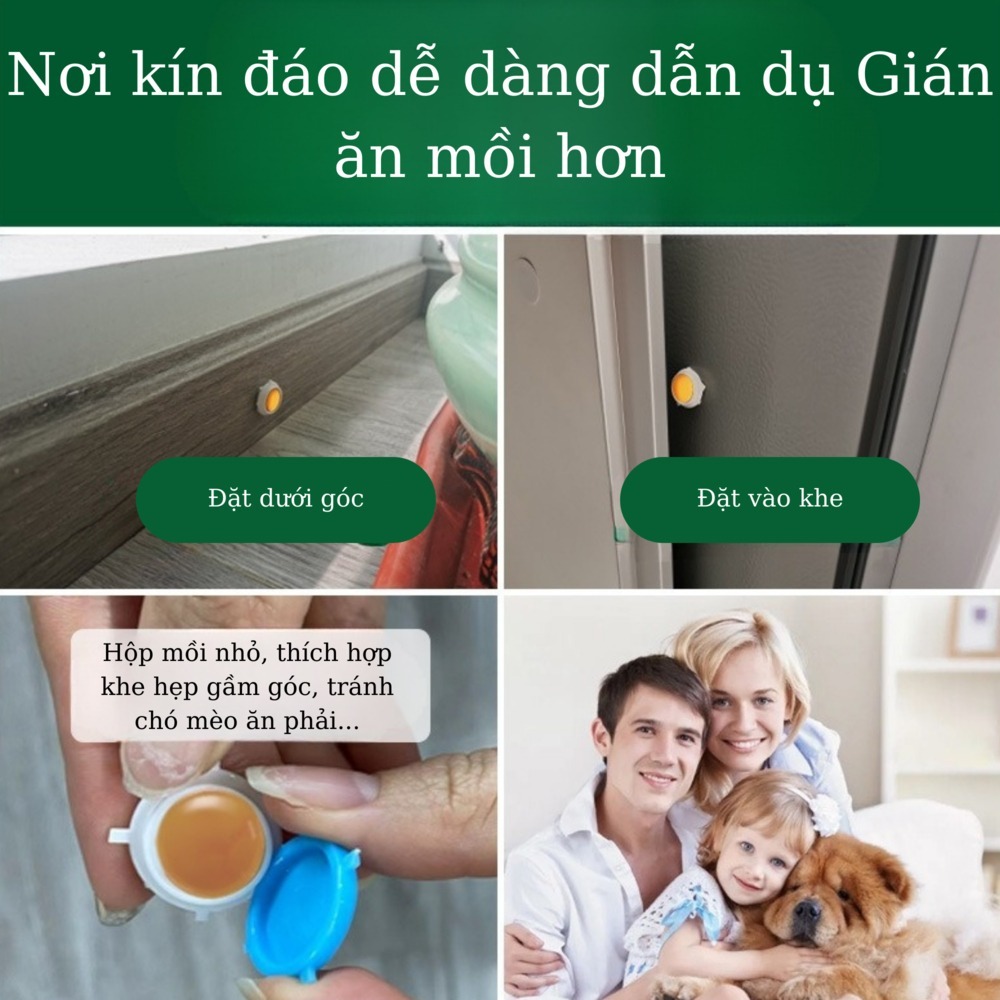 Thuốc diệt gián sinh học, Viện Hàn lâm khoa học Việt Nam, diệt tận gốc tất cả các loại gián hiệu quả
