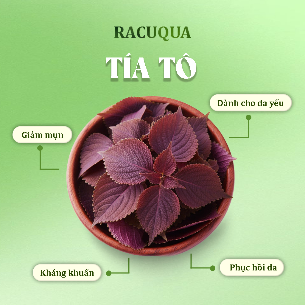 Bột Tía Tô Sấy Lạnh Đắp Mặt Làm Đẹp RACUQUA 75g Tiện Lợi