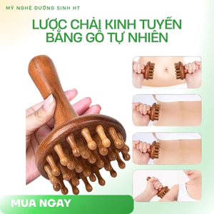 Lược chải kinh tuyến massage toàn thân mẫu mới cán dài dễ sử dụng-MỸ NGHỆ DƯỠNG SINH HT